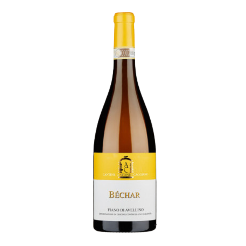 béchar fiano di avellino