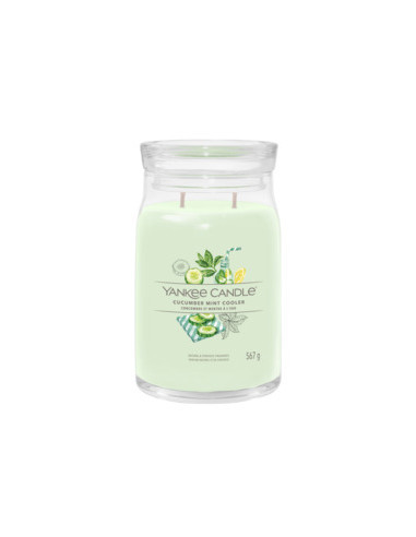 1726.jpg Cucumber Mint Cooler - immagine 2