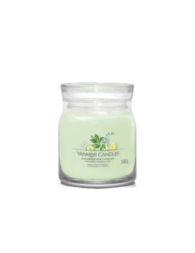 1727.jpg Cucumber Mint Cooler - immagine 3