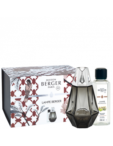 1759.jpg Lampe Prisme