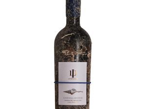 CANCELLARIIDAE LE PROFONDITA'