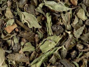 Tè Verde Touareg 100 gr