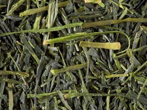 Tè Verde Sencha Tensu 100 gr