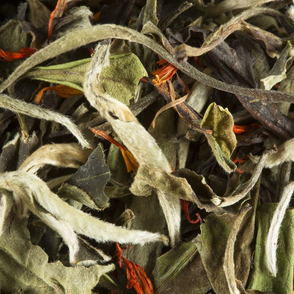 509.jpg Tè Bianco Poire Marron Glacé 100 gr