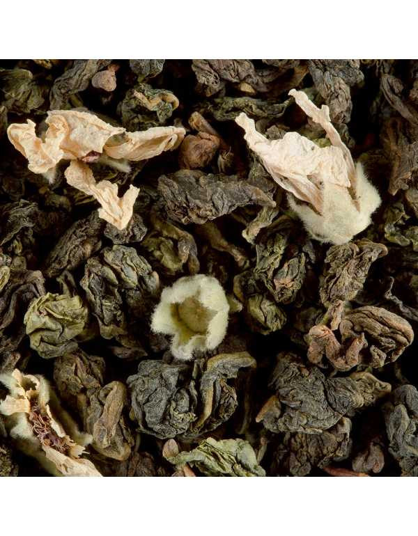 519.jpg Tè Oolong Week-End a Paris 100 gr