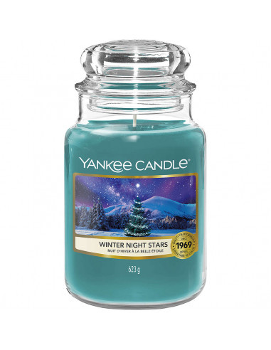 767.jpg Winter Night Stars